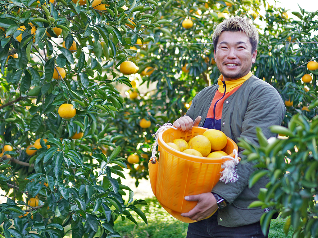 無農薬みかん農家『グリーンジャンクション』インタビュー 果物語