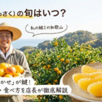 八朔の収穫時期、旬の時期、食べ頃時期