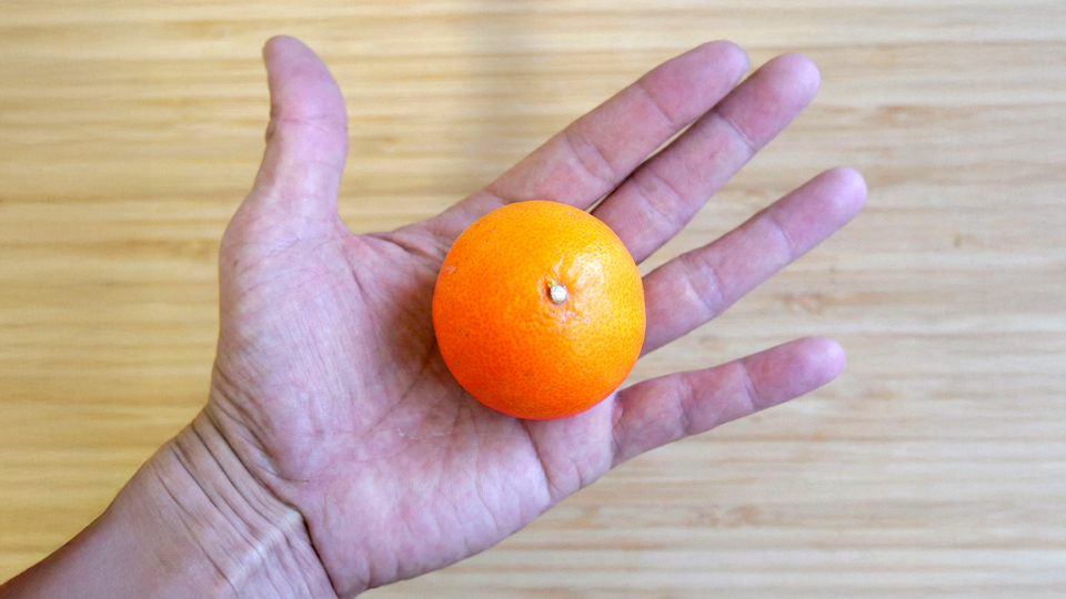 ミニまどんな、紅まどんな