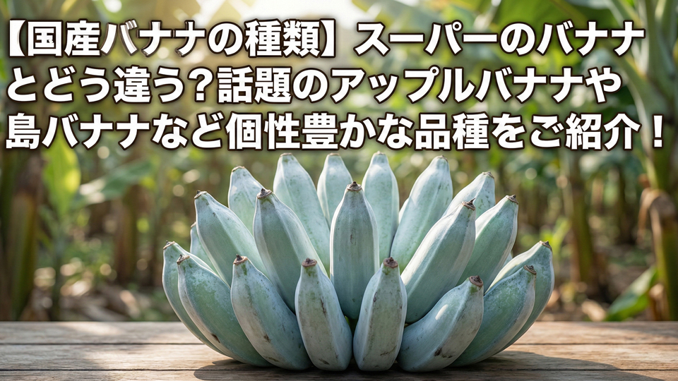 国産バナナの種類、品種