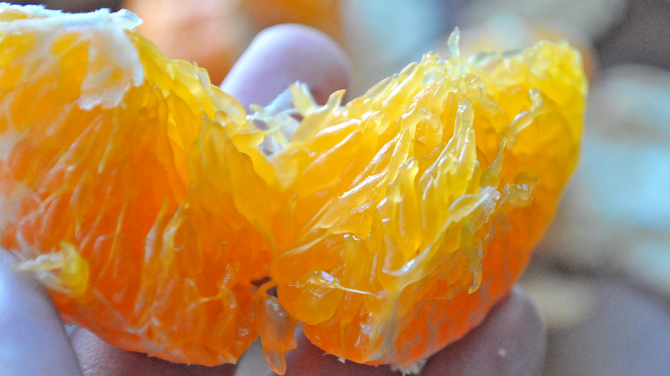 甘平さじょう、ツブツブ