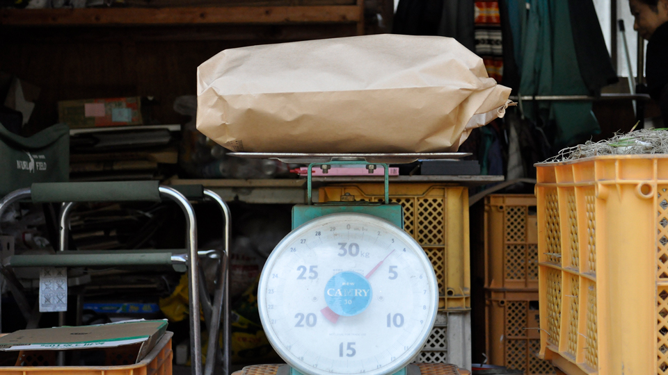 砂丘らっきょう３キロ