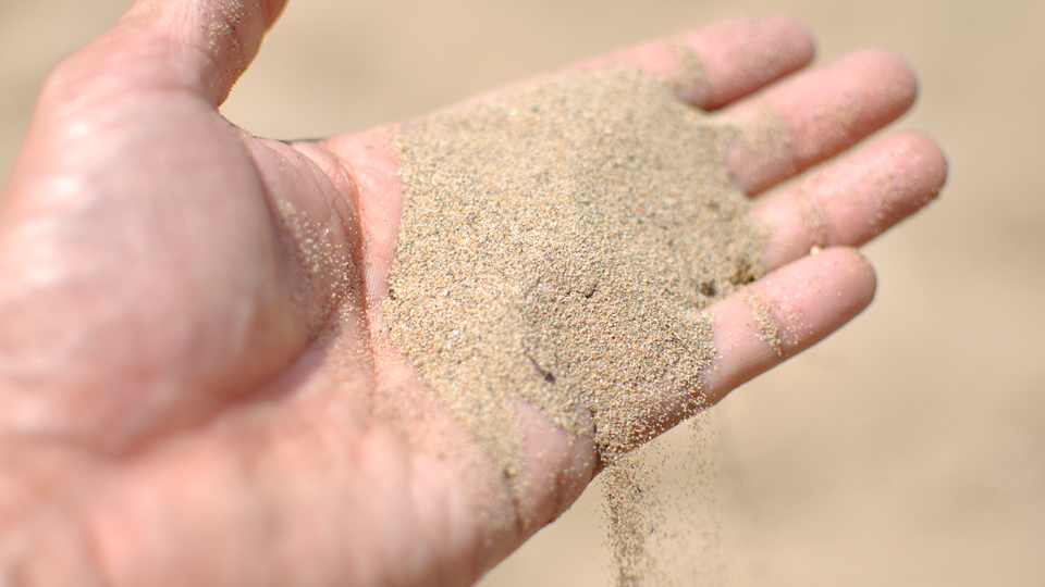 砂で育てるらっきょう