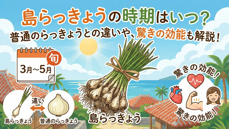 島らっきょうとエシャロットの違い