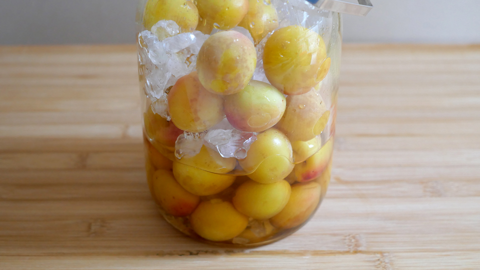 梅シロップ 完熟梅使用