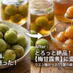 梅シロップ、甘露煮