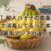 バナナ船上消毒