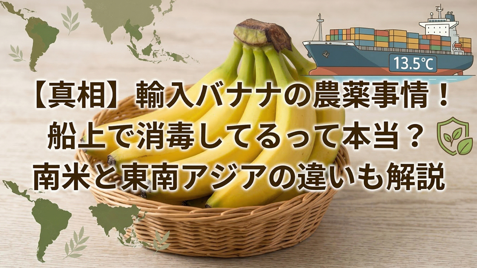 バナナ船上消毒