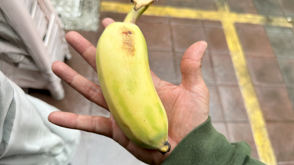 台湾バナナ