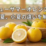 ニューサマー、小夏、日向夏違い