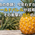 ゴールドバレル