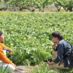 農家インタビュー、グリーンジャンクション