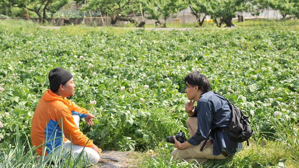 農家インタビュー、グリーンジャンクション