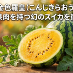 金色羅皇の紹介