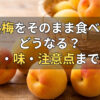 完熟梅をそのまま食べるとどうなる？