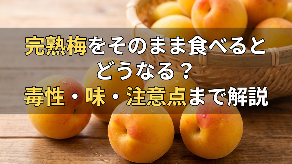 完熟梅をそのまま食べるとどうなる？