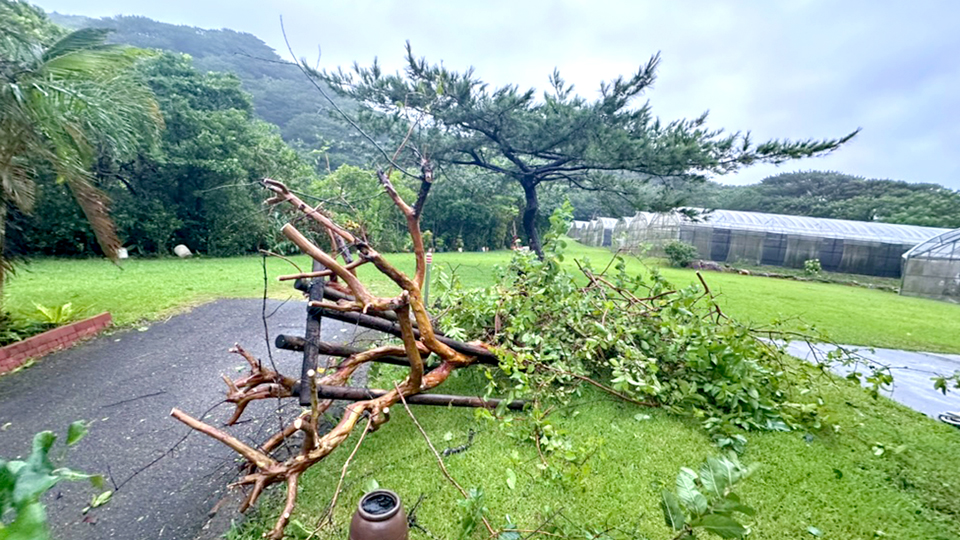 台風