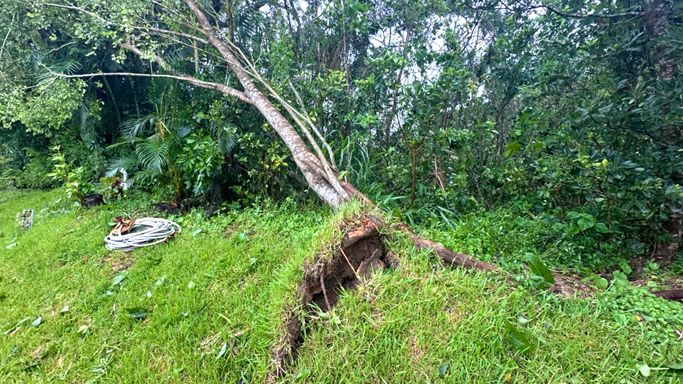 台風