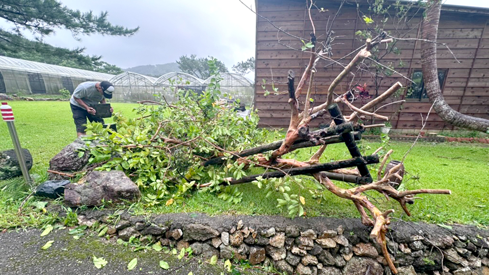 台風