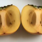 柿 黒い点 黒い斑点 食べられる
