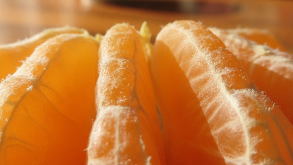 みかん 食物繊維 白い筋 じょうのう