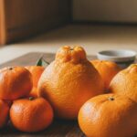 みかん 品種一覧 柑橘