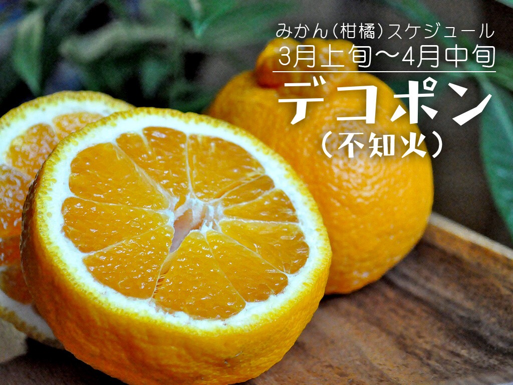 デコポン 外観