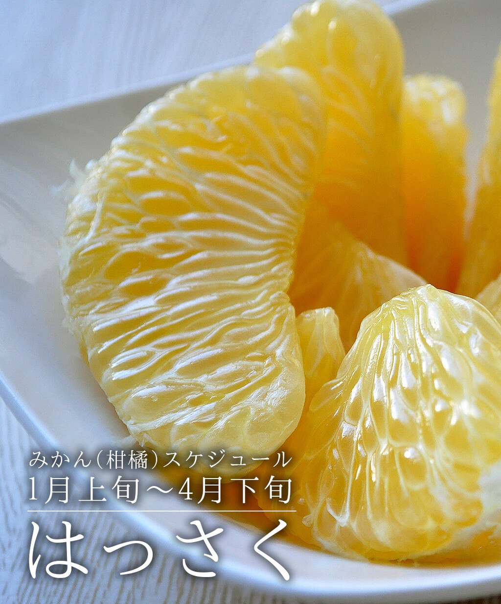 八朔 はっさく 旬