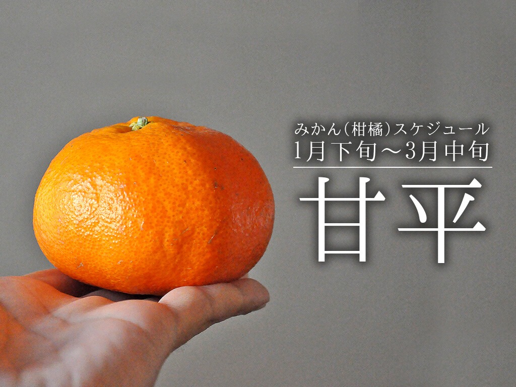 甘平 かんぺい 旬