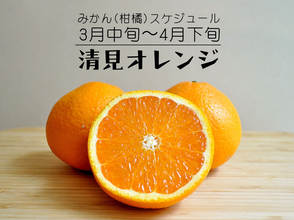 清見オレンジ 旬