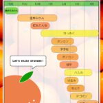 みかん 旬 時期 柑橘スケジュール表