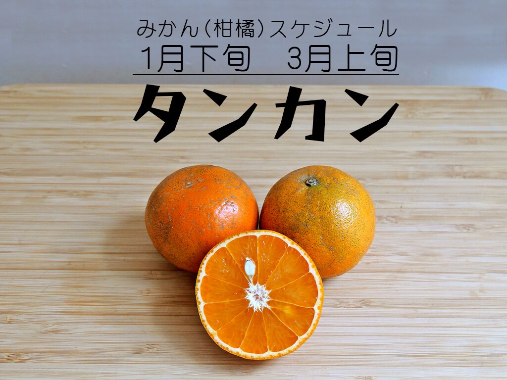タンカン 果肉