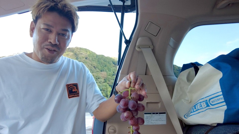 紅伊豆を手に持つヨシハマ 勝沼の直売所でいただいたぶどう