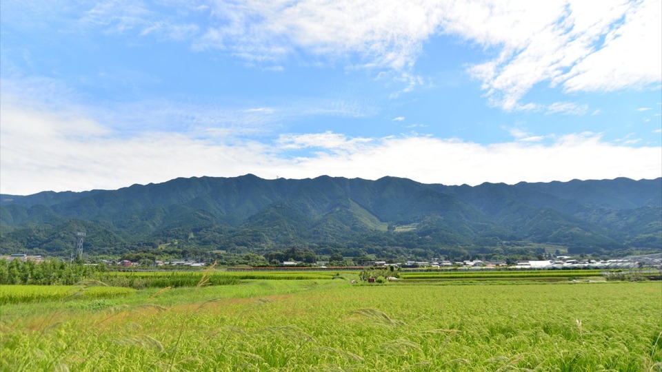 福岡県久留米市の風景