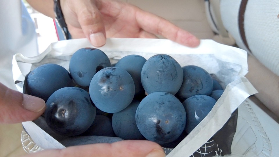 甲斐キング 特大粒の黒ぶどう