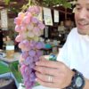 勝沼のぶどう直売所 房の長い紅三尺を手に取る