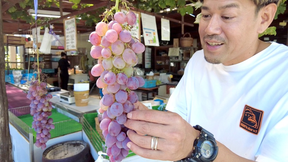勝沼のぶどう直売所 房の長い紅三尺を手に取る