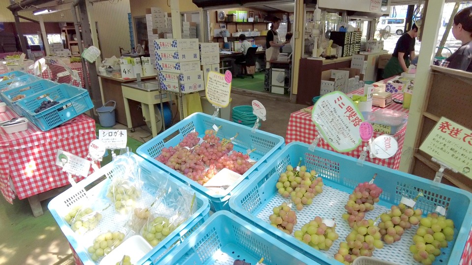 勝沼のぶどう直売所 店頭に並ぶぶどう