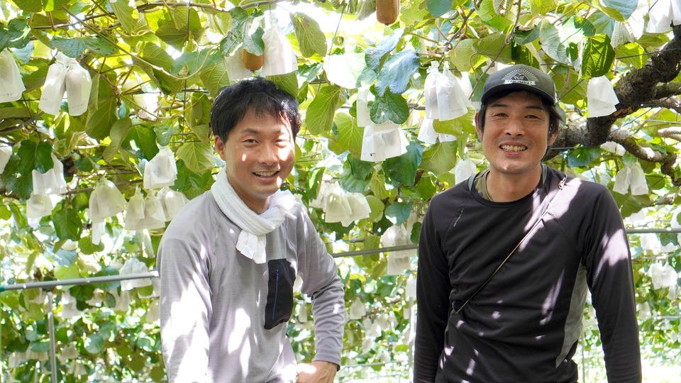 深山のキウイの山田さん（左）と深井さん（右） キウイ畑にて