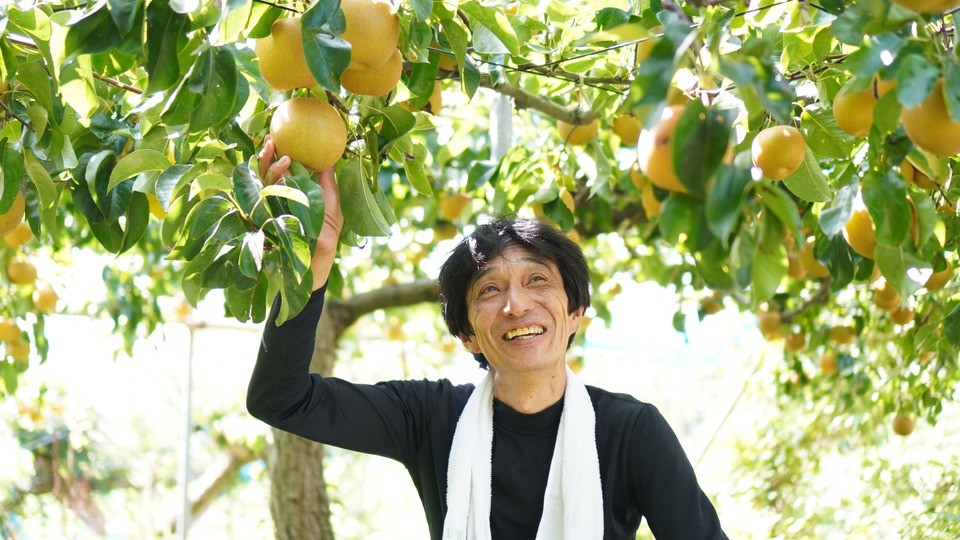 梨の木の下で笑顔の西村さん 西村果樹ガーデン