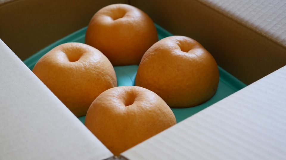 新高と新興 箱に入った梨
