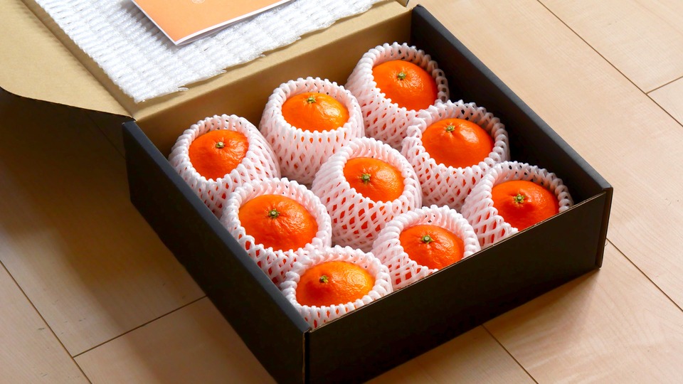 紅まどんな 値段