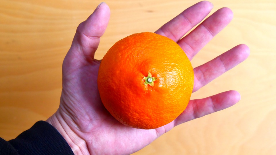 紅まどんな 値段 1個