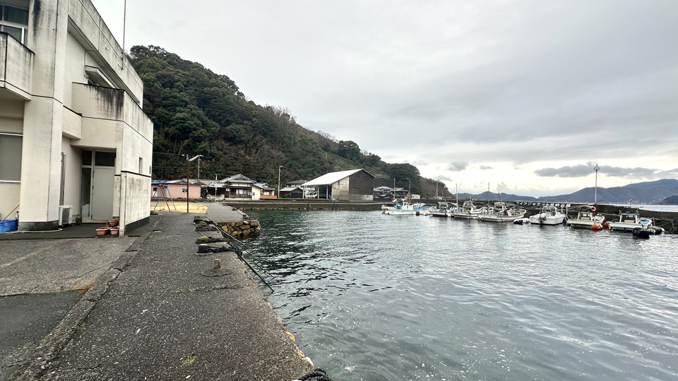 木下農園 愛媛県西予市三瓶町の港