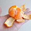 小玉みかん 手のひらにのせた小さなみかん