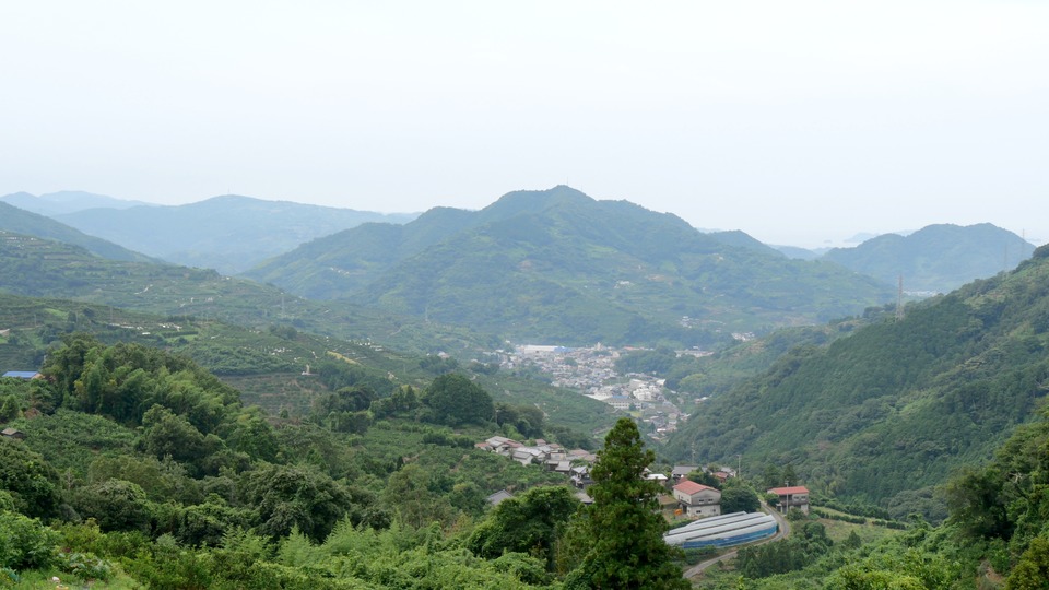 マルナカ農園 夏の八幡浜の山並み