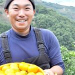 無農薬みかん 和歌山・グリーンジャンクションで収穫したみかん