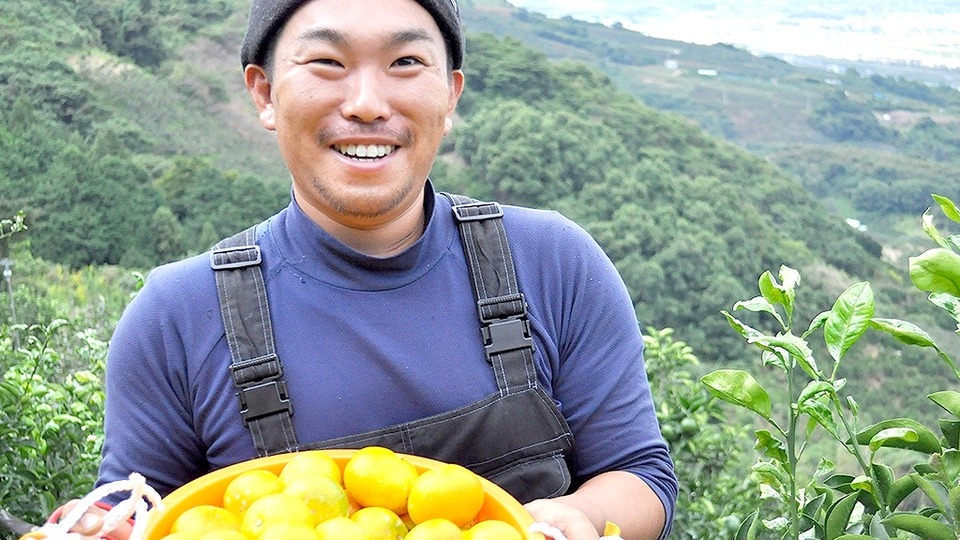 無農薬みかん 和歌山・グリーンジャンクションで収穫したみかん